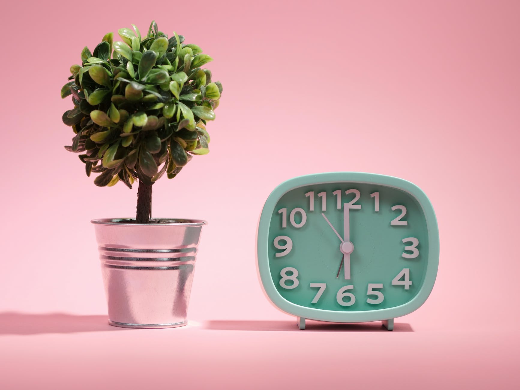 a close up shot of a clock and a potted plant, stuck in layover, stuck on a long layover, Spring 2023, summer 2023