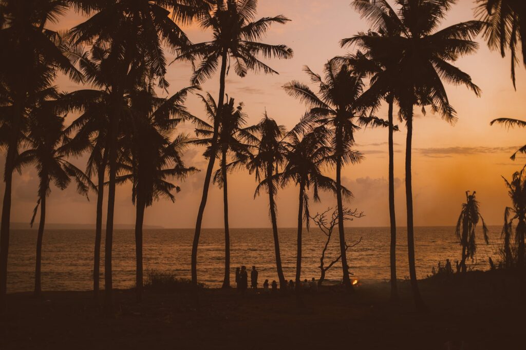 palms and tiny people against orange evening sky and sea, end of summer blues, summertime sadness, post summer blues
