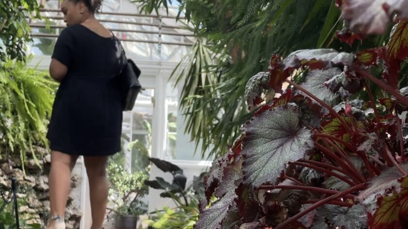 solo date, solo date activities, botanical garden, plant conservatory, solo date ideas, dating yourself